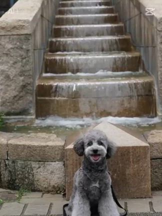 僕　なつエモンの記事動画