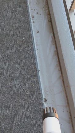 鳩との戦い②掃除＆忌避剤の記事動画