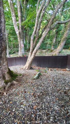 夏瀬温泉　都わすれ　草笛　部屋風呂編の記事動画