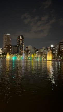 わたし的繁忙期の11月の記事動画