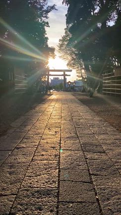 初めての鹿島神宮⛩️旅の記録の記事動画