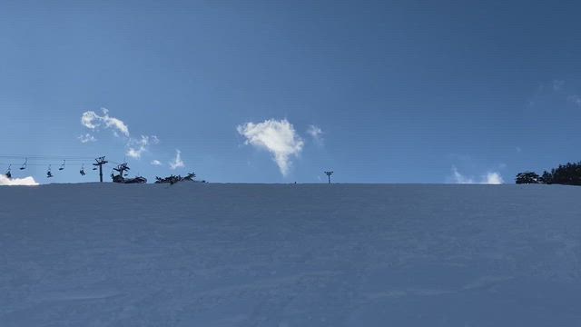 テクニカルプライズの記事動画