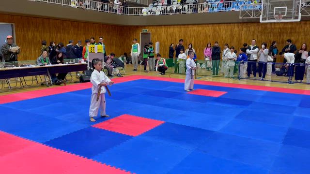 11/9 埼玉県型・ビギナーズ大会の記事動画