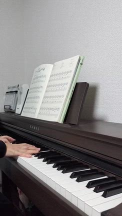 夕飯★演奏動画【清い流れ】の記事動画