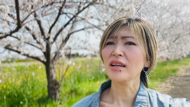 ほんの少し動画　さくらの記事動画