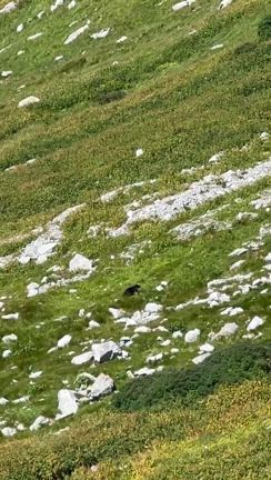 室堂平、初の閉鎖。の記事動画