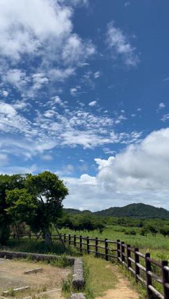 お盆も無事？終わりました！石垣と全然関係ないハグモッチの話の記事動画