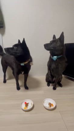 朗読三昧の記事動画