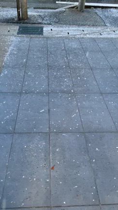 雪：やったー！雪が嬉しいの記事動画