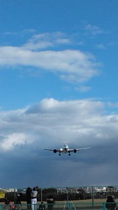 ☆ラテアート☆蝶々☆の記事動画