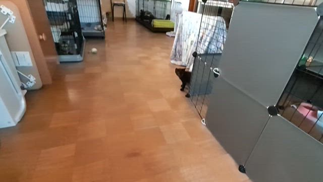 夕張でも30度超え…の記事動画