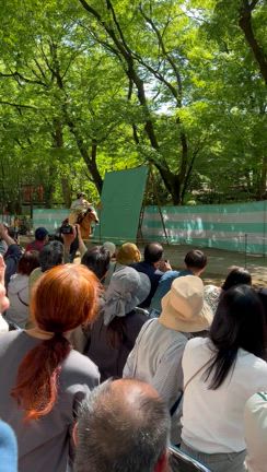 【GWに行ったところ2025】京都　下鴨神社の流鏑馬神事はすごかったの記事動画