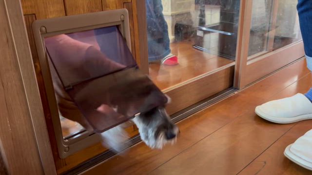 三月マダムアキコ刺繍教室の記事動画