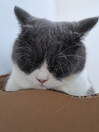 今日も焼きましたの記事動画