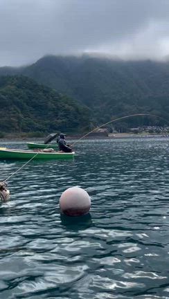 釣果報告の記事動画