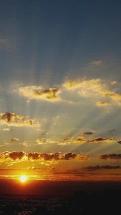 ツアー始まる！の記事動画