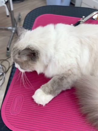 2026/01/20の記事動画