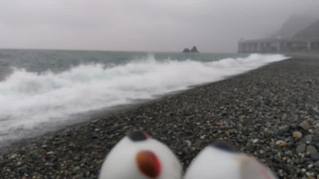 私用は、無し。の記事動画