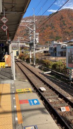 お家に帰るまでが旅行です　日光鬼怒川旅行⑦の記事動画