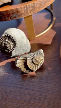 【p.r.indhigo】天然石をネットショップにアップしました！の記事動画