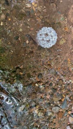 戸隠さざれ瀧浄化の記事動画