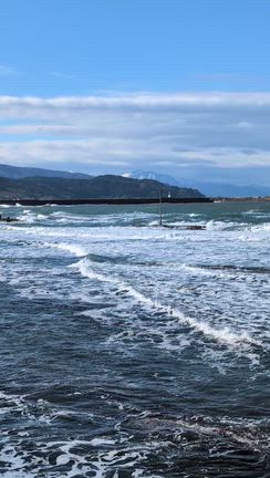 美味しいお寿司屋の記事動画