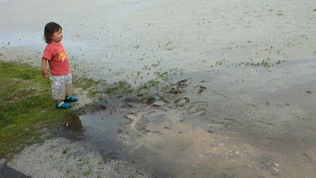 泥遊びとお家カフェの水曜日。の記事動画