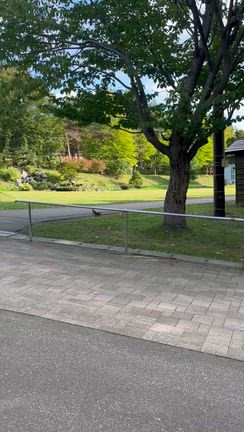 道東の記事動画