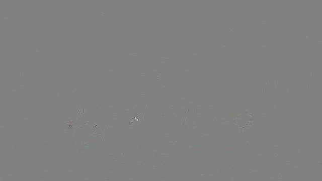 バラに囲まれて音楽ライブ(歌の動画あり)の記事動画