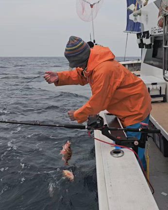24日(月曜)オキメバルの記事動画