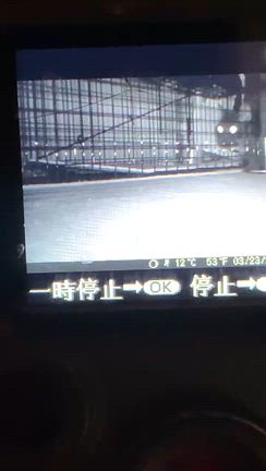ちょこっと猫部　伊豆の国市案件の記事動画