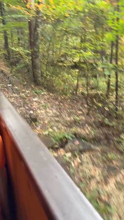 信州木曽上松　赤沢森林鉄道からの紅葉散策の記事動画