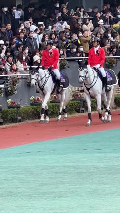中京競馬場　レモンポップの引退レースの記事動画