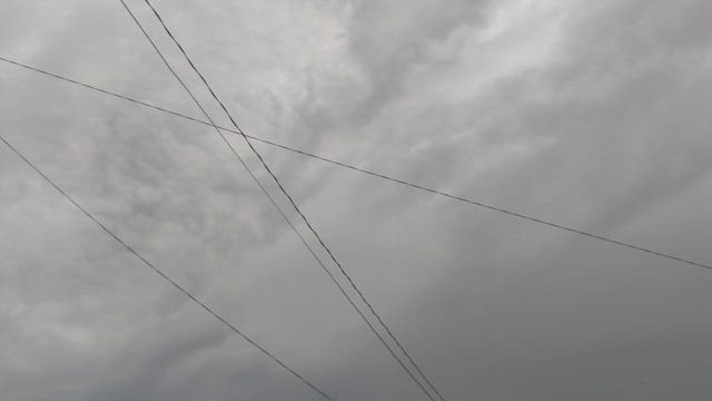 今日のランチと　ちょっと気になる鳥の声　の記事動画