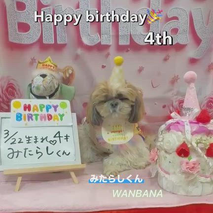 ワンバナLIVE配信２９７回／大注目！新プログラムスタート！愛犬猫！タイプ別！アドバイス！楽しくの記事動画