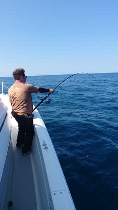 キメジの記事動画