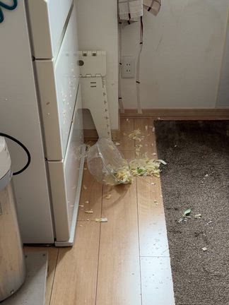 ダイエッターよ、日々のアクシデントに負けるな！の記事動画