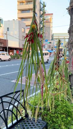 3日目〜花の展示会の記事動画