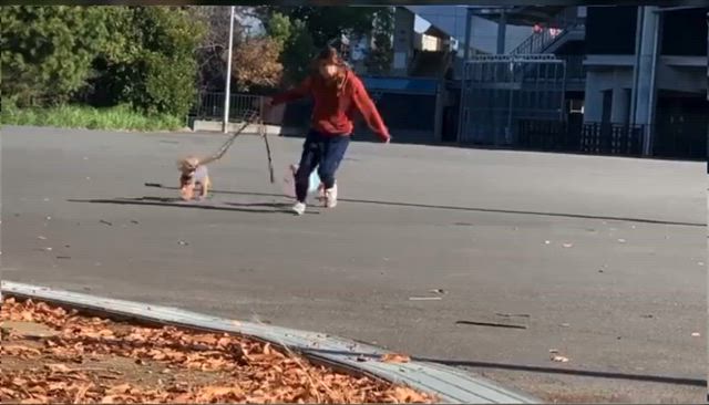 紅ちゃんの記事動画