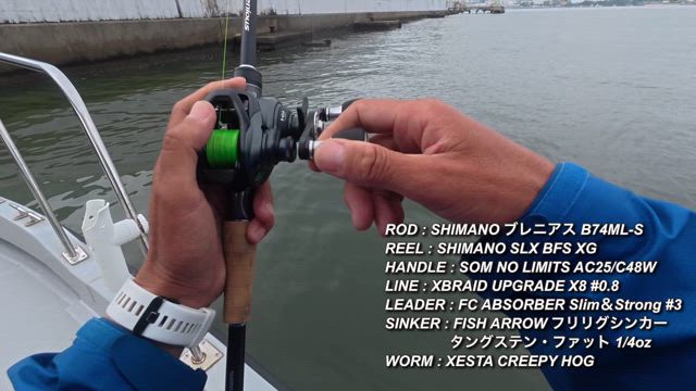 チニング好調の記事動画