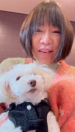 モーニングメッセージ！の記事動画