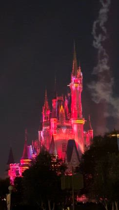 ♪お泊まりDisney♪②の記事動画