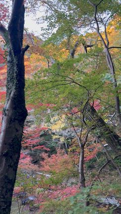 【伊豆水鞠】チェックアウトまで堪能しまくり走り切る！！の記事動画