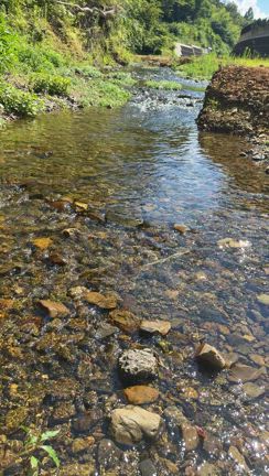 徒歩5分の川原にビールと本持って涼みに行こうの記事動画