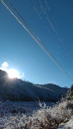 冬至の頃の景色の記事動画