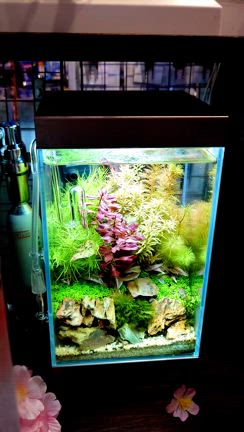 各コーナー入荷！の記事動画