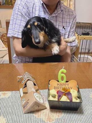 ルイ、6歳になりましたの記事動画