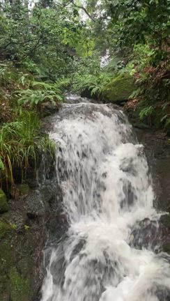 【白山比咩神社参拝】この機会はどんな意味があるかをちゃんと考えてみるの記事動画