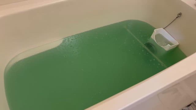 雛ちゃん 預かっています。＆お迎えでした(*^^*)の記事動画