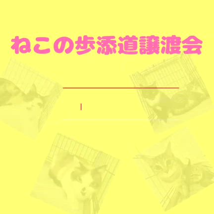 (=^x^=)譲渡会のお知らせです。の記事動画